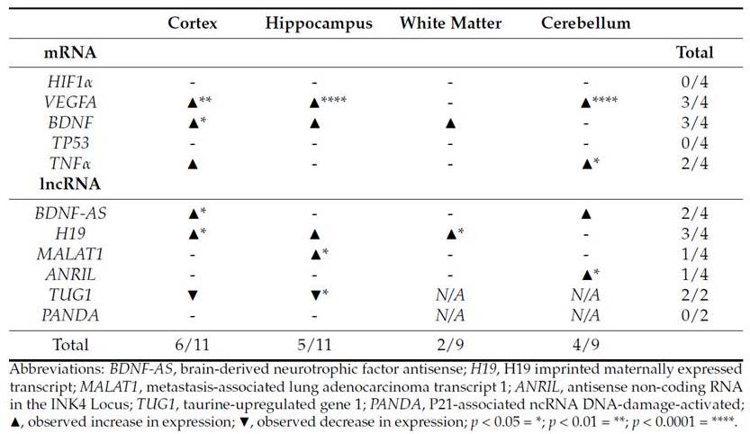 Summary of gene expression variations and significance across various brain regions in a perinatal asphyxia piglet model.